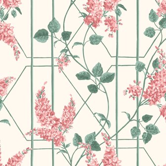 Cole &amp; Son Botanical ~Botanica~ Wisteria 115/5012