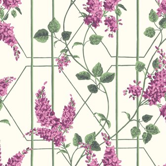 Cole &amp; Son Botanical ~Botanica~ Wisteria 115/5013