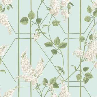 Cole &amp; Son Botanical ~Botanica~ Wisteria 115/5014