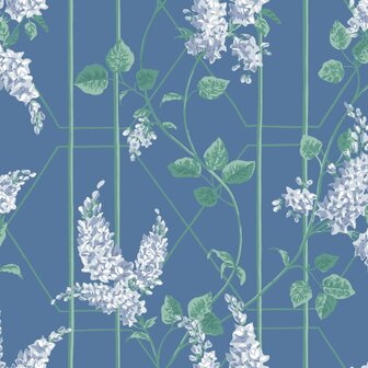 Cole &amp; Son Botanical ~Botanica~ Wisteria 115/5015