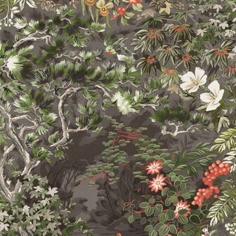 Cole &amp; Son Botanical ~Botanica~ Woodland 115/4011