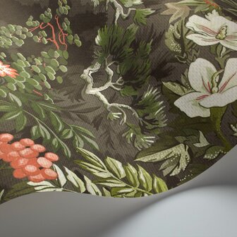 Cole &amp; Son Botanical ~Botanica~ Woodland 115/4011