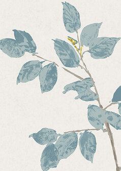 Lewis &amp; Wood Beech Bluegrass