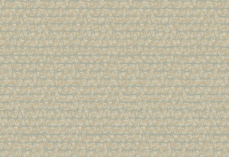 Hooked on Walls Academy Geometrico Phoenix 25641