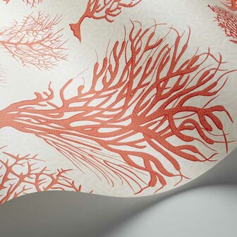 Cole &amp; Son Curio Seafern 107/2011