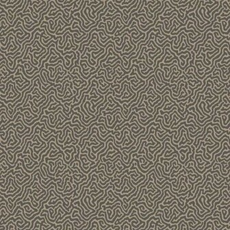 Cole &amp; Son Curio Vermicelli 107/4017