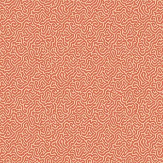 Cole &amp; Son Curio Vermicelli 107/4018
