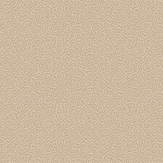 Cole &amp; Son Curio Vermicelli 107/4019