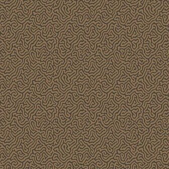 Cole &amp; Son Curio Vermicelli 107/4020