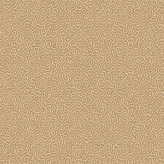 Cole &amp; Son Curio Vermicelli 107/4021