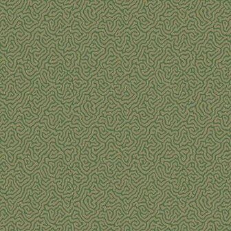 Cole &amp; Son Curio Vermicelli 107/4022