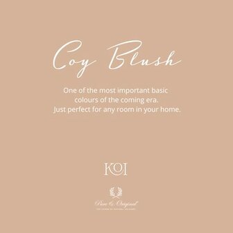 Pure &amp; Orginal Traditional Paint Waterbased Coy Blush