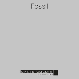 Carte Colori Puro Primer Fossil