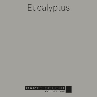Carte Colori Puro Primer Eucalyptus