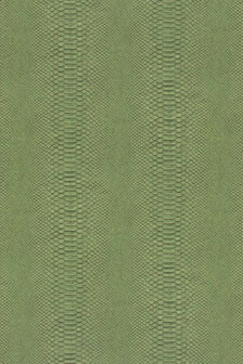 Hooked on Walls Material Matters Python 24720