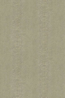 Hooked on Walls Material Matters Python 24721