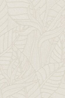 Strelitzia Alabaster 60741