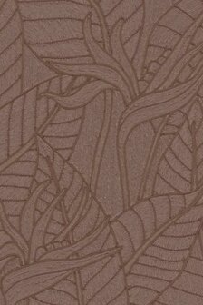 Strelitzia Hickory 60743