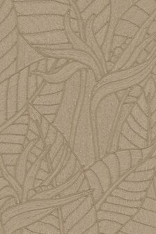 Strelitzia Hemp 60747