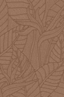 Strelitzia Bark 60749