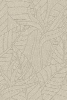 Strelitzia Zinc 60750