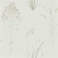 Sanderson Farne Grasses Willow Pebble 216488