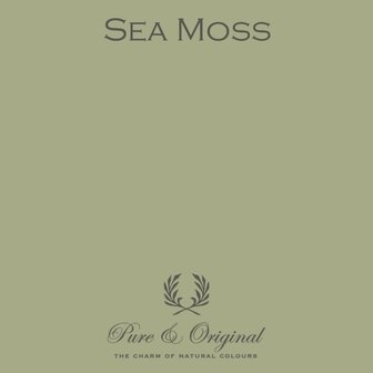 Pure &amp; Original krijtverf Sea Moss