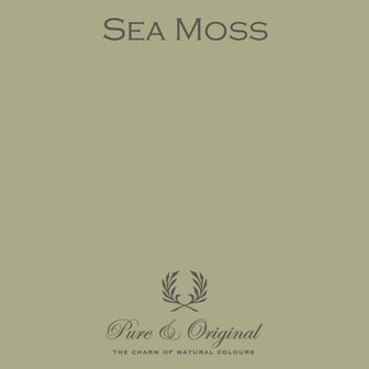 Pure &amp; Original Traditional Paint Sea Moss