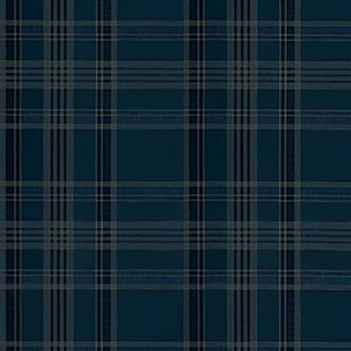 Ralph Lauren Deerpath Trail Plaid Indigo PRL5020/04