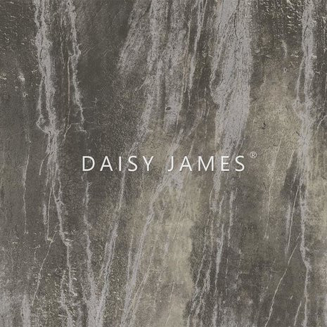 Daisy James behang The Brown Stone