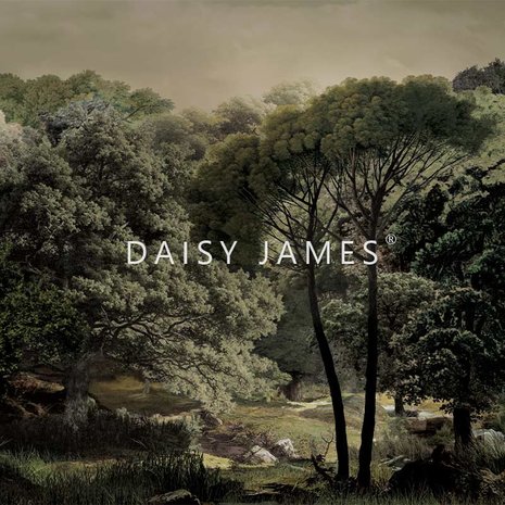 Daisy James behang The Brook