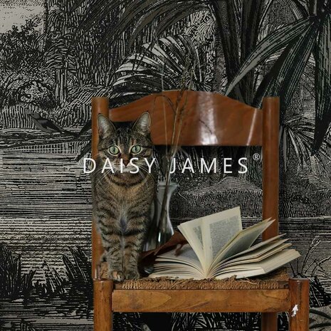 Daisy James behang The Shade Grey