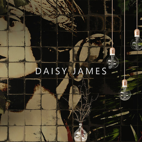 Daisy James behang The Icon