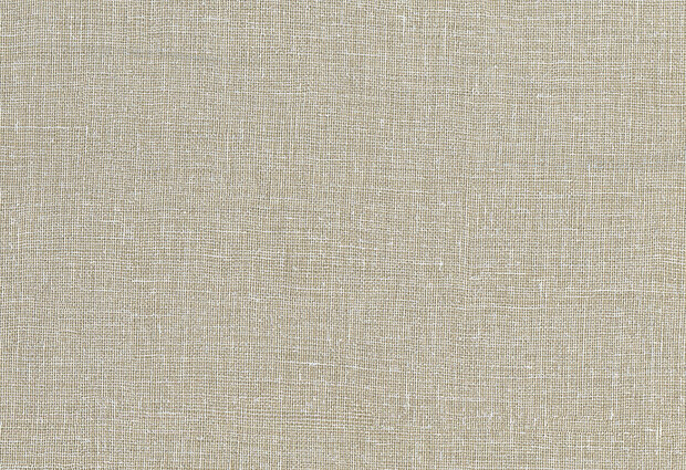 Hooked on Walls Arashi Havana 4881