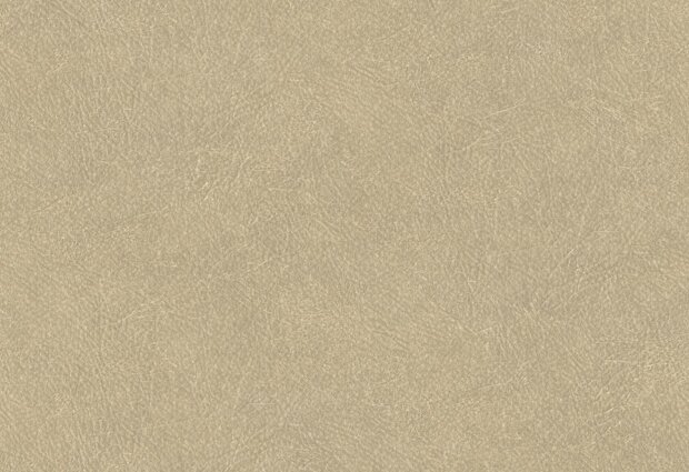 Hooked on Walls Tahiti Leather Plain 25021