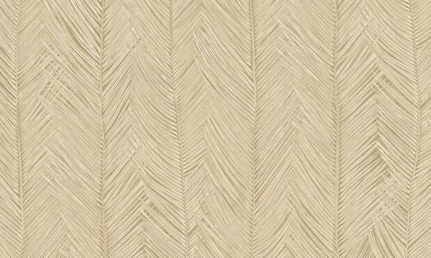 Arte Monsoon 2.0  Itaya Coquille 75401