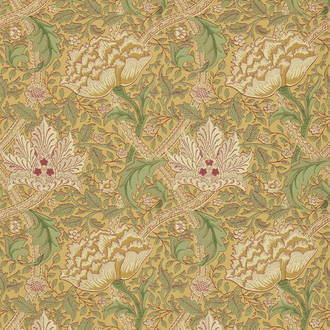 Windrush Gold Thyme DMI1W6102