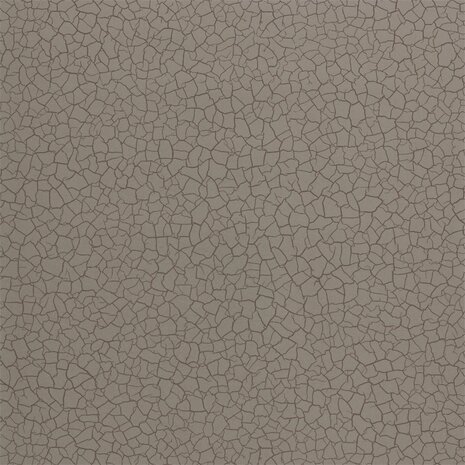 Zoffany Akaishi Cracket Earth Gobi 312527