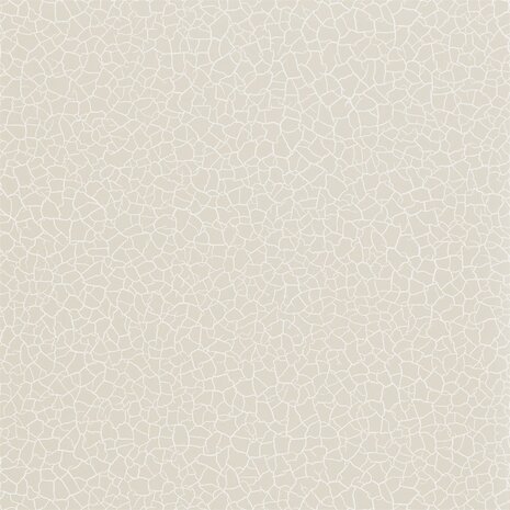 Zoffany Akaishi Cracket Earth Salt Plains 312526