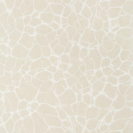 Thibaut Amato Beige T4014