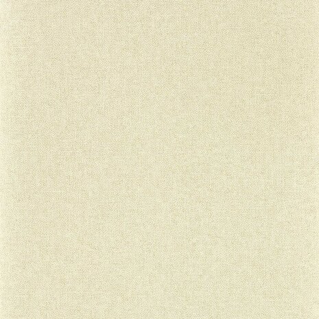 Sanderson Arboretum Wallpapers Sessile Plain Birch 217246