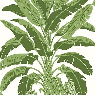 Thibaut Palm Grove Banana Tree Green  T13914 