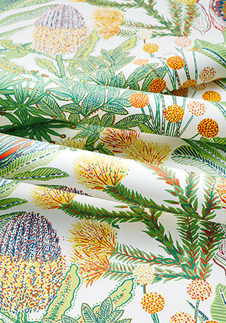Thibaut Palm Grove Protea 