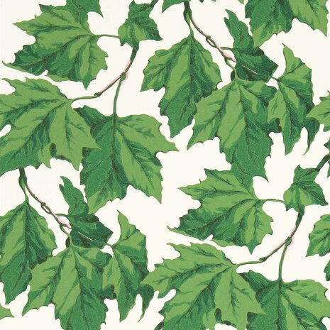 Harlequin X Sophie Robinson Wallpapers Dappled Leaf Emerald 113045