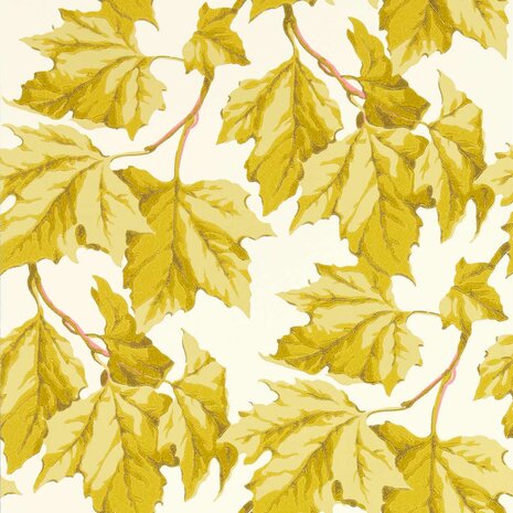 Harlequin X Sophie Robinson Wallpapers Dappled Leaf Citrine 113046