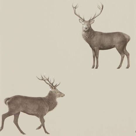 Sanderson Arboretum Wallpapers Evesham Deer Birch 216618