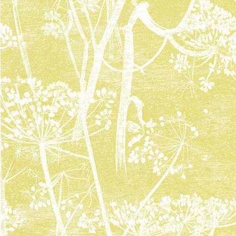 Cole & Son Contemporary Selection Cow Parsley 66/7051