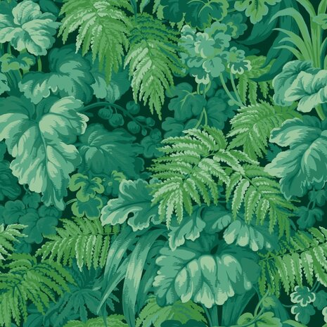 Cole & Son Martyn Lawrence Bullard Royal Fernery 113/3009