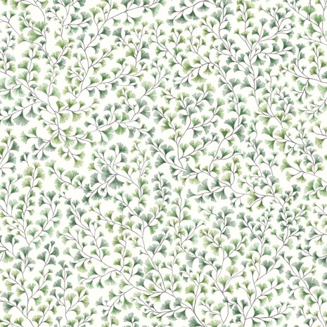 Cole & Son Botanical ~Botanica~ Maidenhair 115/6018