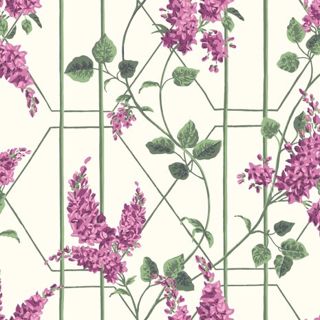 Cole & Son Botanical ~Botanica~ Wisteria 115/5013